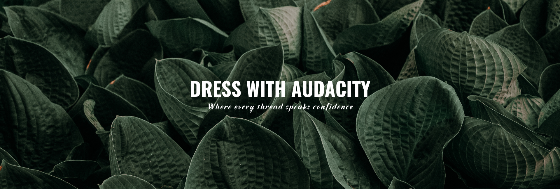 Dress with audacity — where every thread speaks confidence